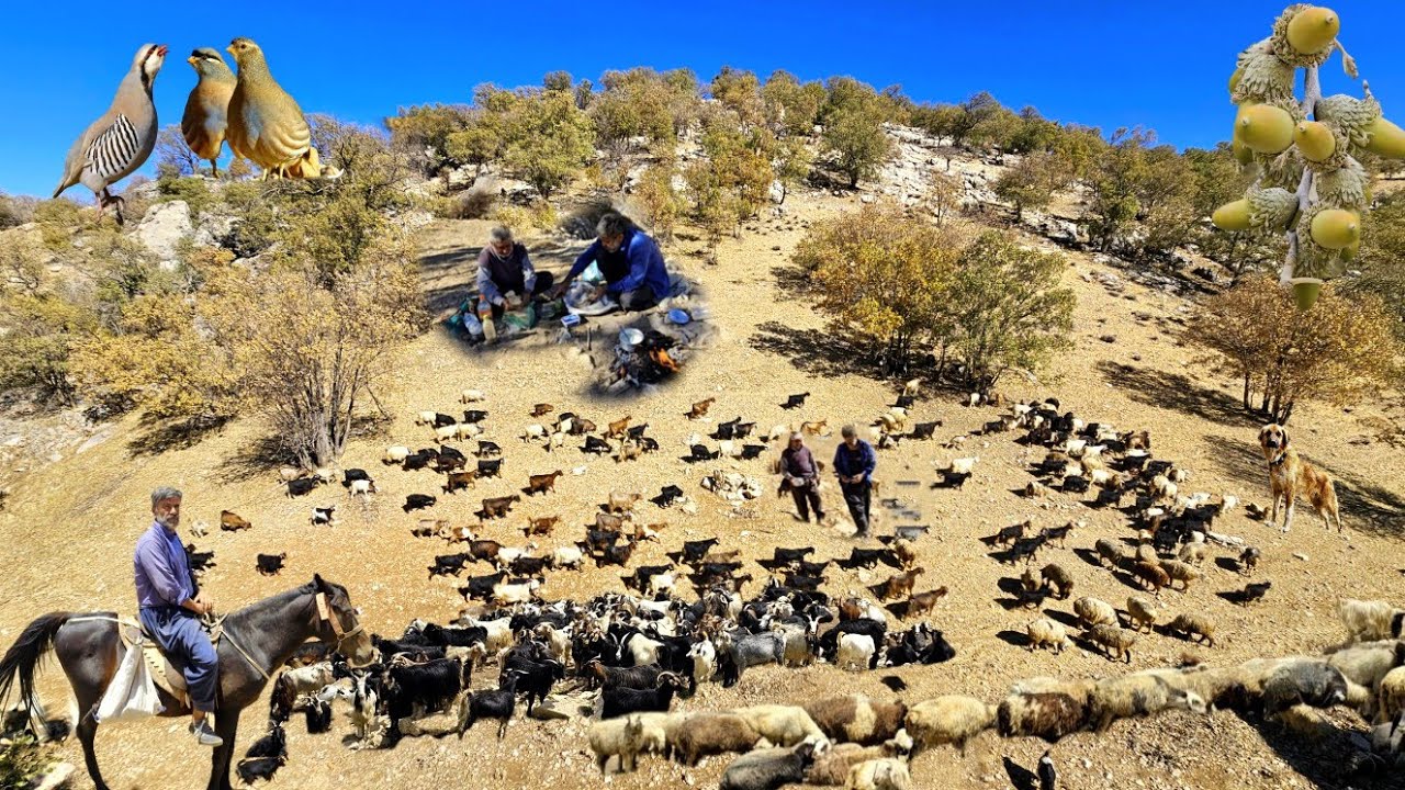 Nomadic Shepherds’ Journey to the Zagros Highlands | Traditional Pastoral Life in Iran