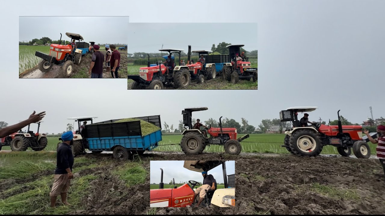 Ajj payea makki da achaar | full jor lga tractor da | ik number mahol / day 1
