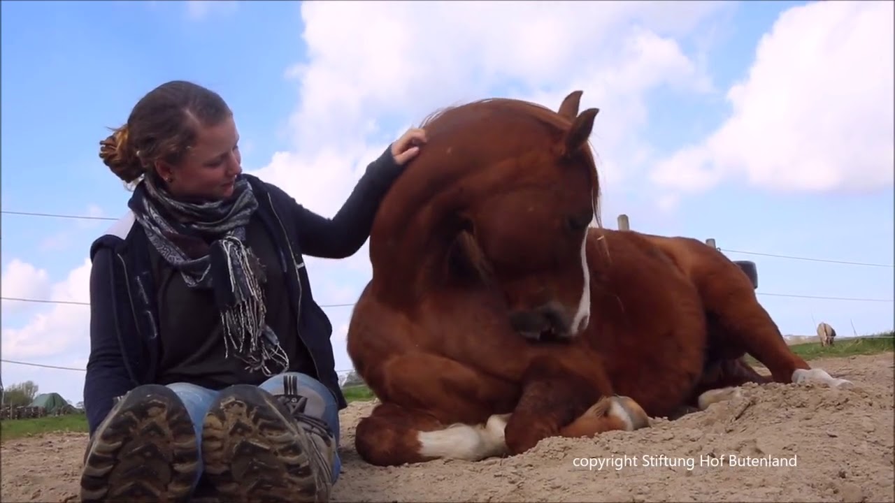 Kuscheln bis das Sandm&auml;nnchen kommt