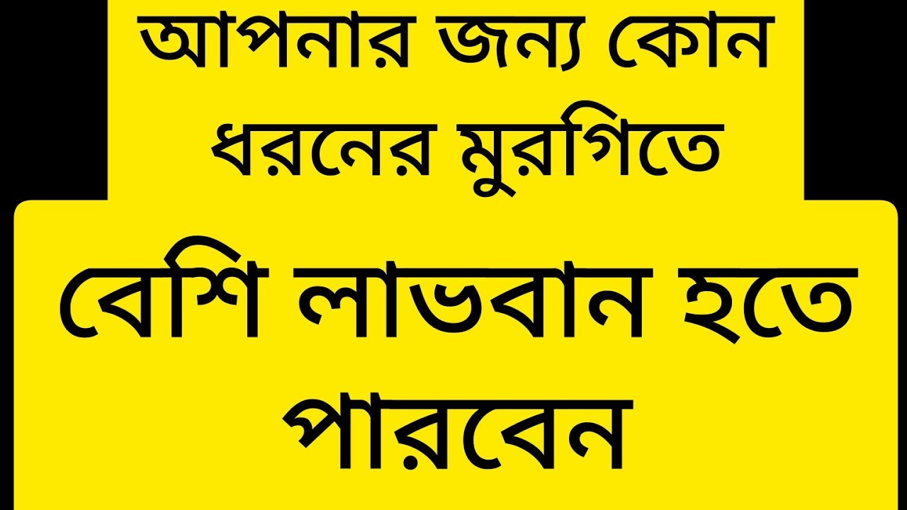 যে মুরগী পালন করলে বেশি লাভবান হতে পারবেন 