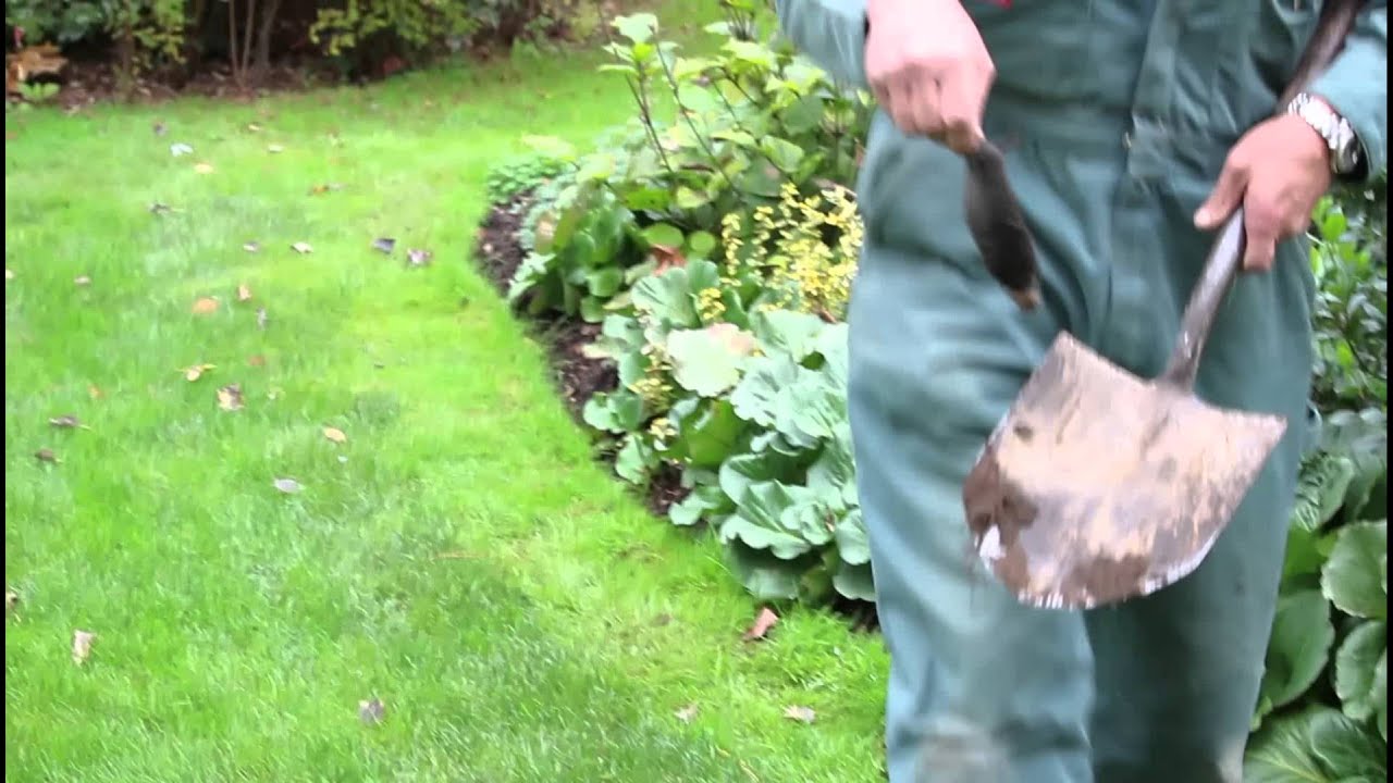 How to catch a mole alive with a spade