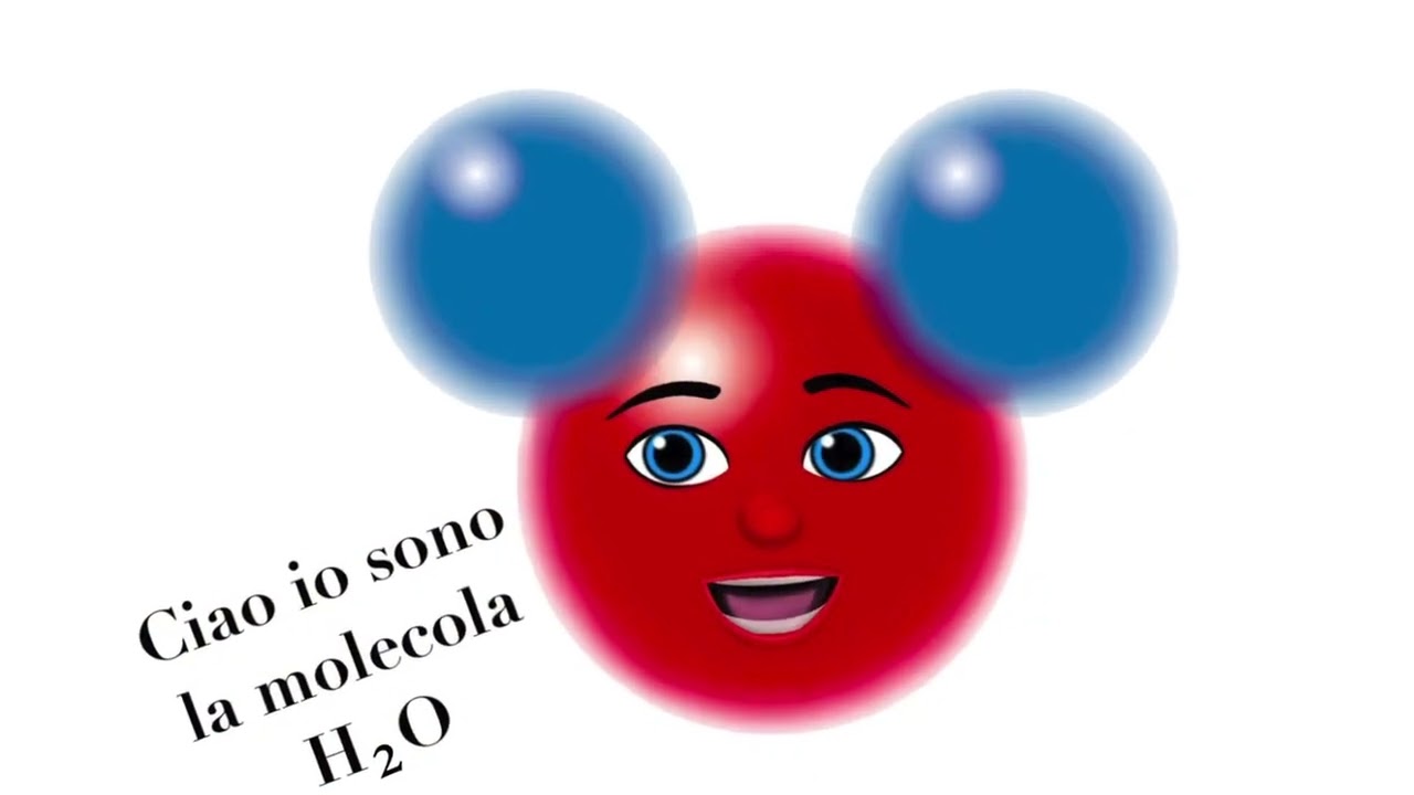 L'ACQUA BENE COMUNE IISS ELENA DI SAVOIA