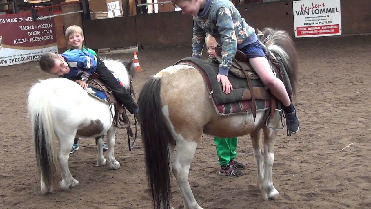 Sportdag derde leerjaar : Gipsy Horses Range - BBC Zuiderkempen - minigolf