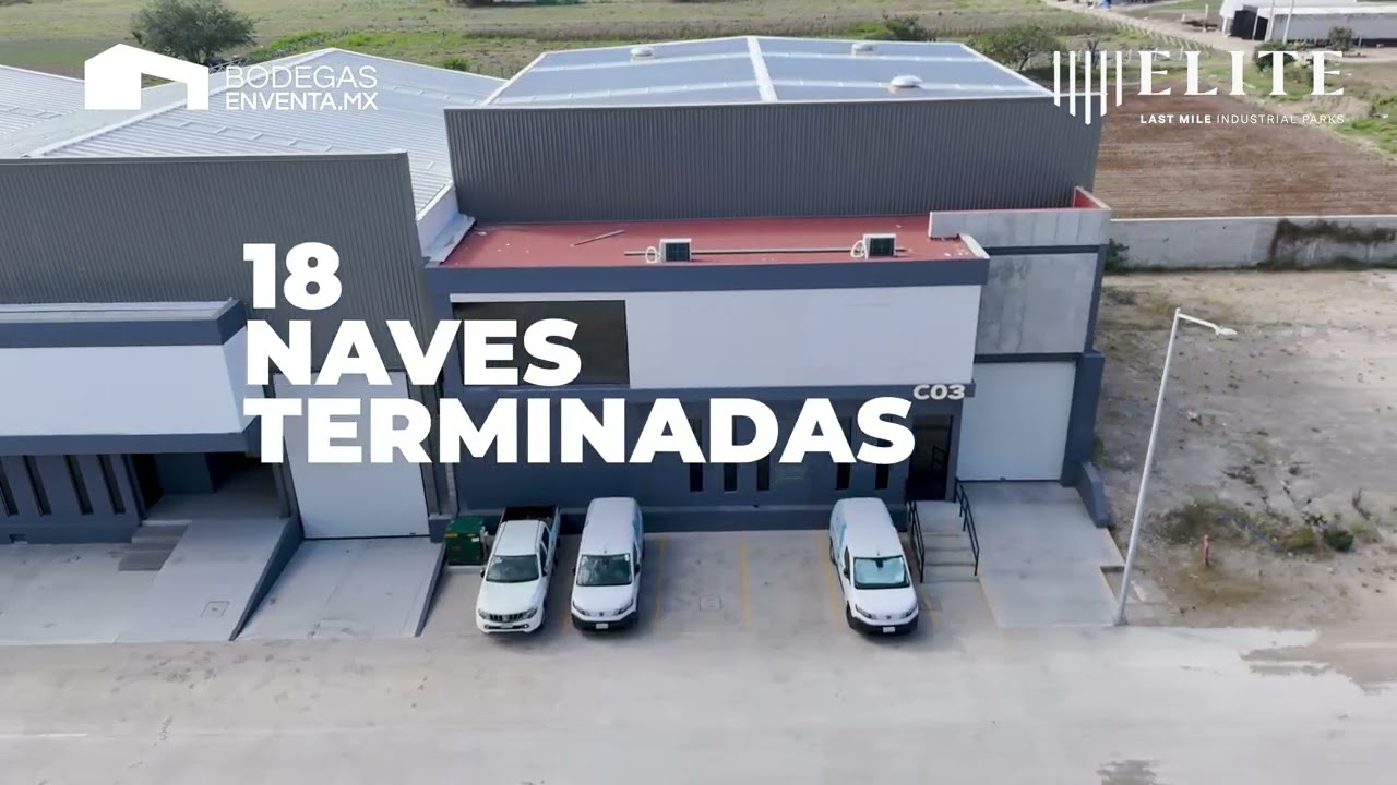 Avances Elite 8 de Julio a Enero 2026