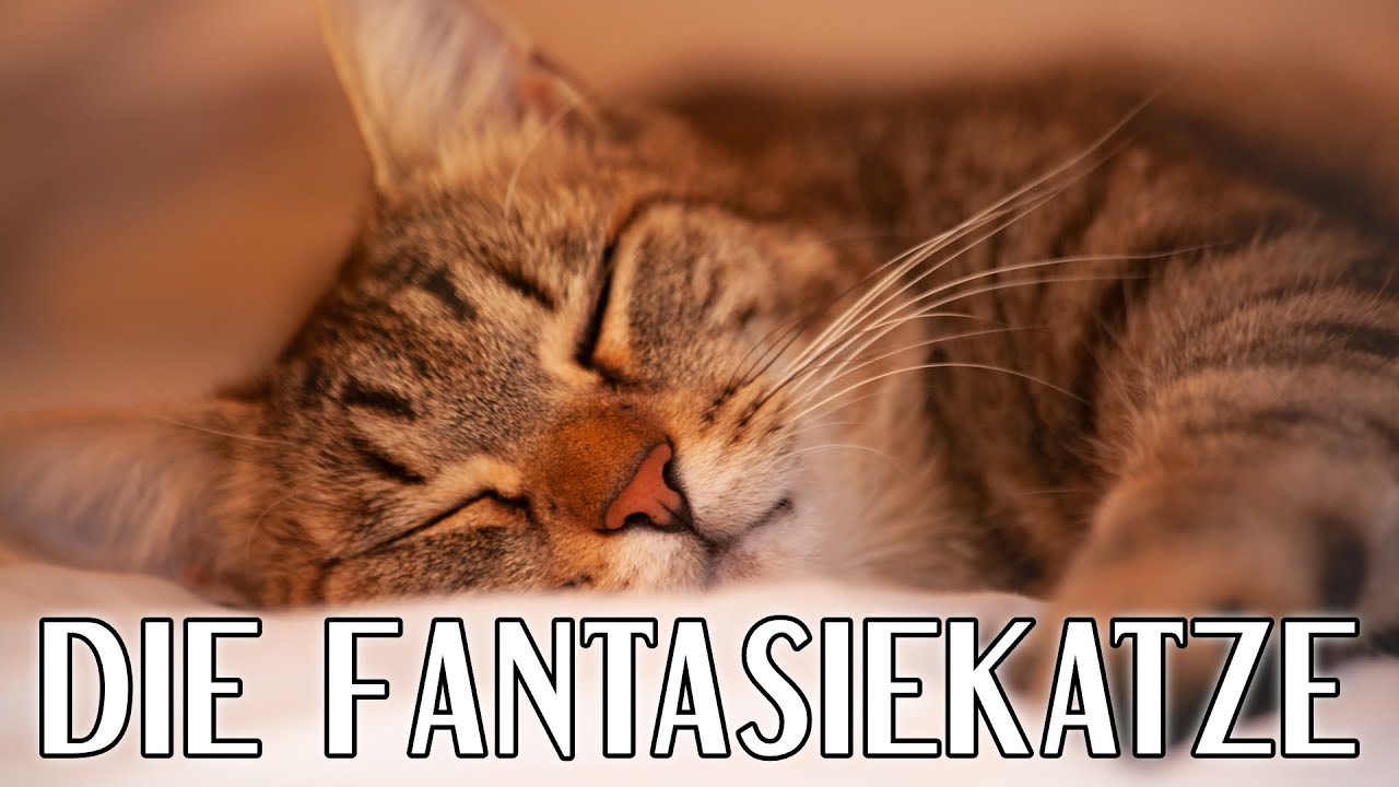 Einschlaf-Meditation f&uuml;r Kinder: Die Fantasiekatze