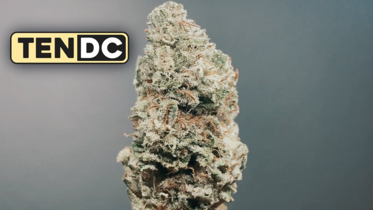 Jet Fuel Pie THCa Flower by TenDC