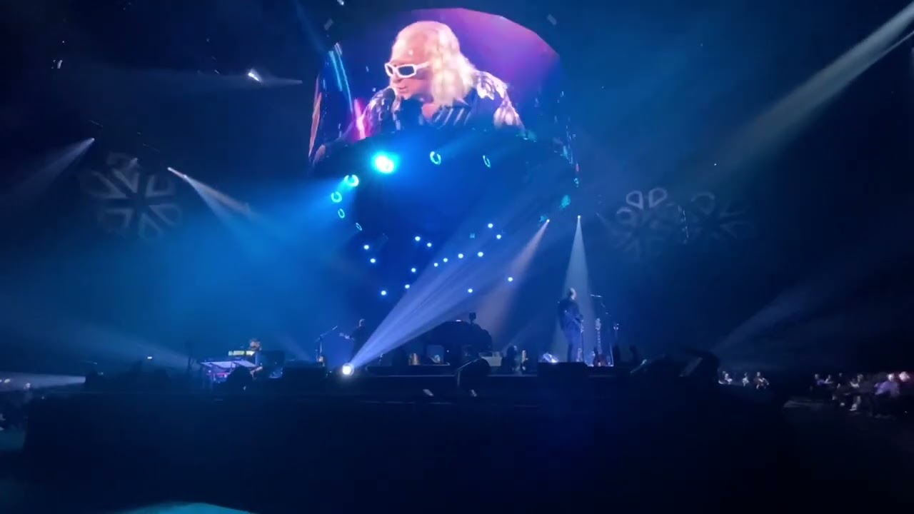 Concert Michel Polnareff (Amiens 2023)