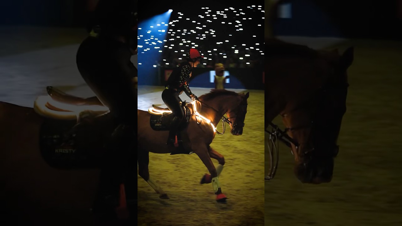 Super gave SHOW met Galante!😍✨ #paarden #jumping #ruiter
