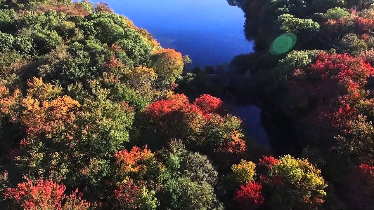 Massapequa Preserve - Massapequa, NY