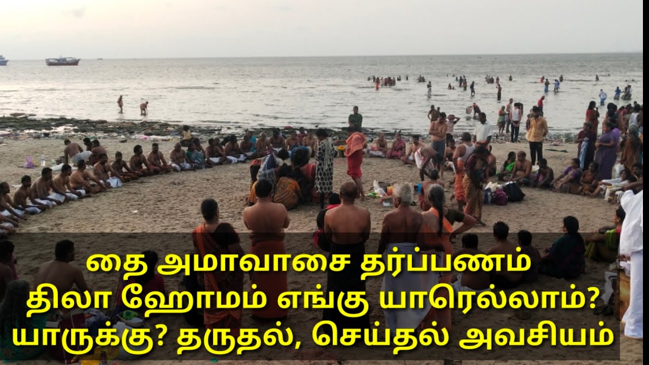 தை அமாவாசை தர்ப்பணம் திலா ஹோமம் யாருக்கெல்லாம் அவசியம் தரவேண்டும்/ Thai amavasai/ Thila hommam