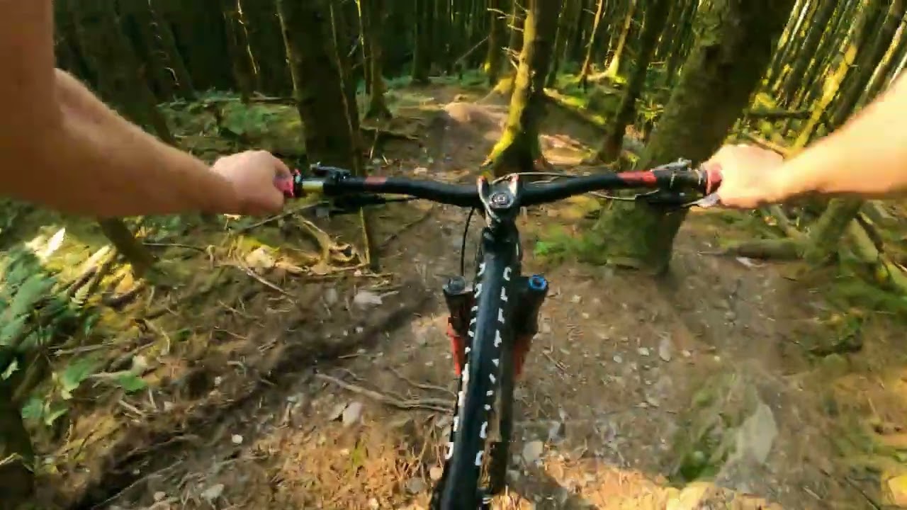 Dyfi, Corris mountain biking from Caban Hyfryd (Shepherd Hut) in Mid Wales