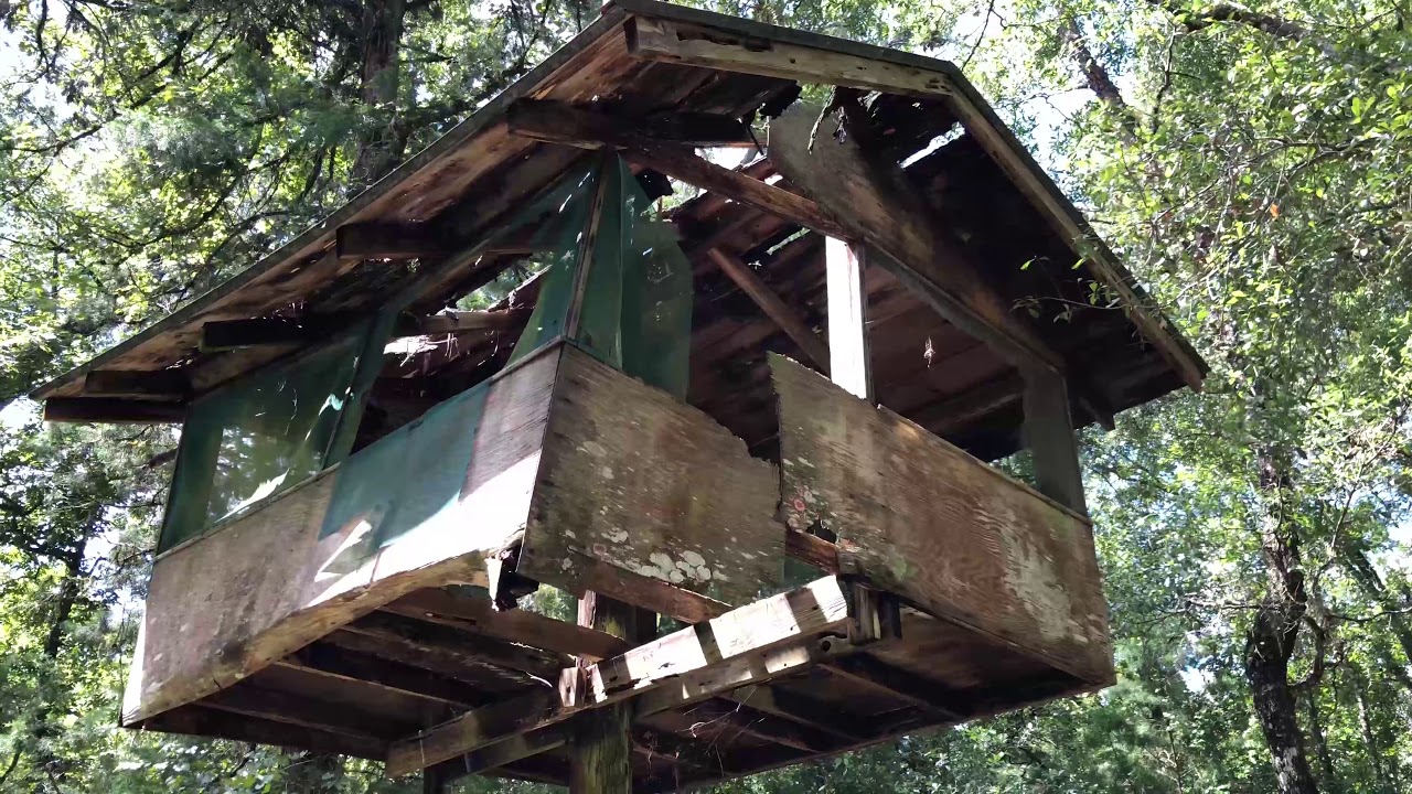 Abandoned Girl Scout Camp in Withlacoochee State Forest (Camp Withlacoochee)