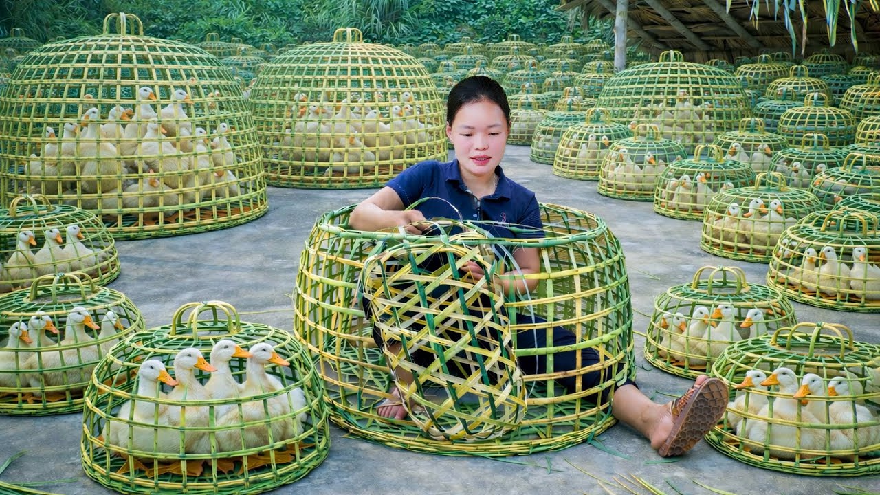 Weaving bamboo baskets, harvesting corn and eggplant, catching ducks to sell at the market