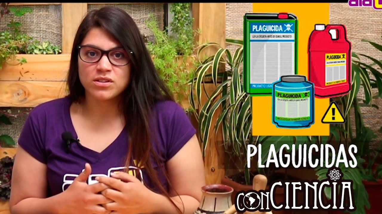 &iquest;Qu&eacute; son los plaguicidas?  | Alternativas de uso | conCiencia
