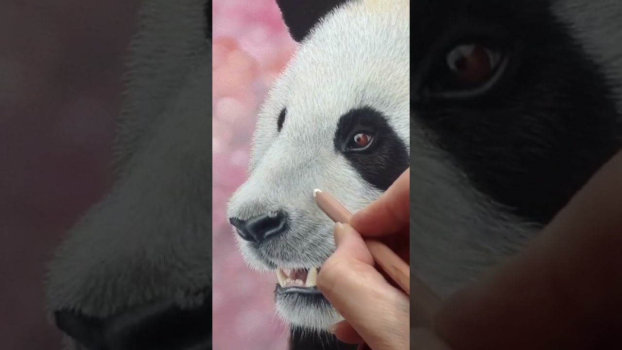 🎨 Giant Panda in pastel, full tutorial here on my YouTube channel. www.KerryNewell.com