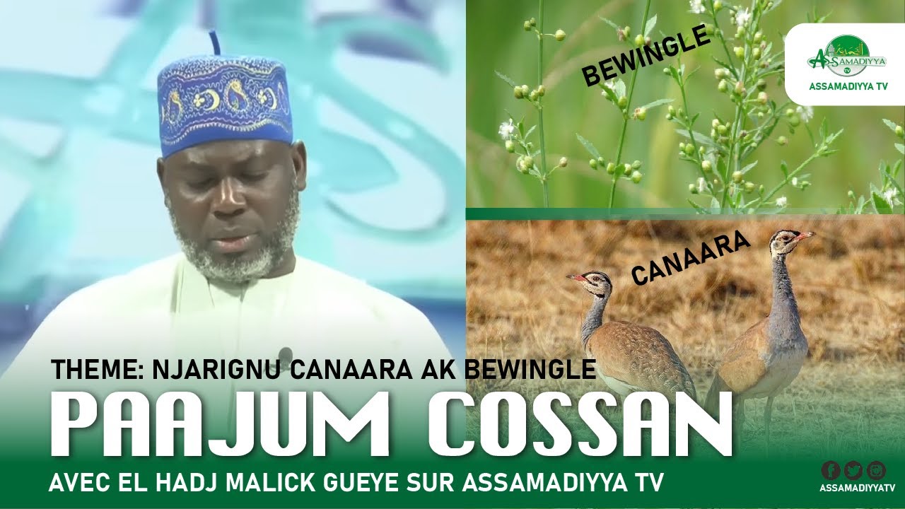🔴  En Direct Touba | 𝑬𝒎𝒊𝒔𝒔𝒊𝒐𝒏 𝑷𝑨𝑨𝑱𝑼𝑴 𝑱𝑶𝑺𝑺𝑨𝑵 | Elhadji Malick Gueye: 𝐓𝐡è𝐦𝐞: Njarignu Canara ak Bewin