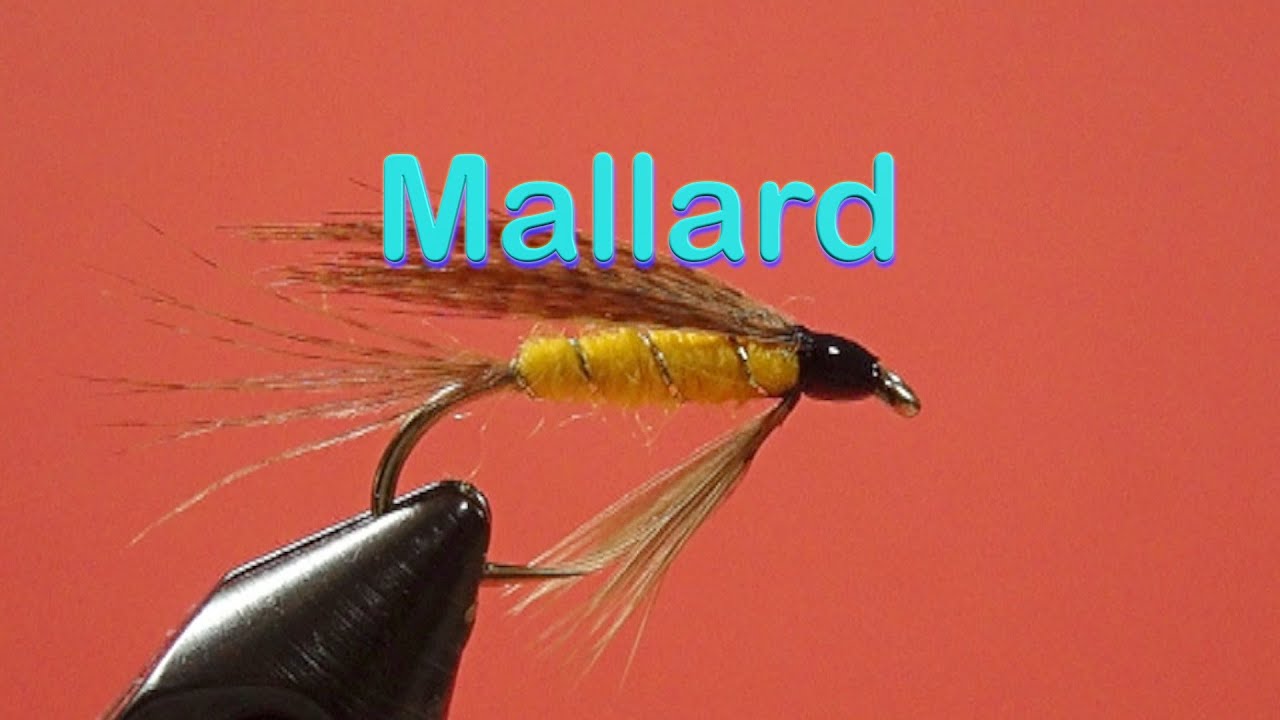 Traditional Wet Fly Trout Patterns: the Mallard