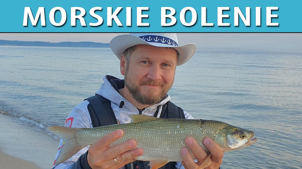 BOLENIE ➤ w morzu i zatoce - jak, gdzie, kiedy...