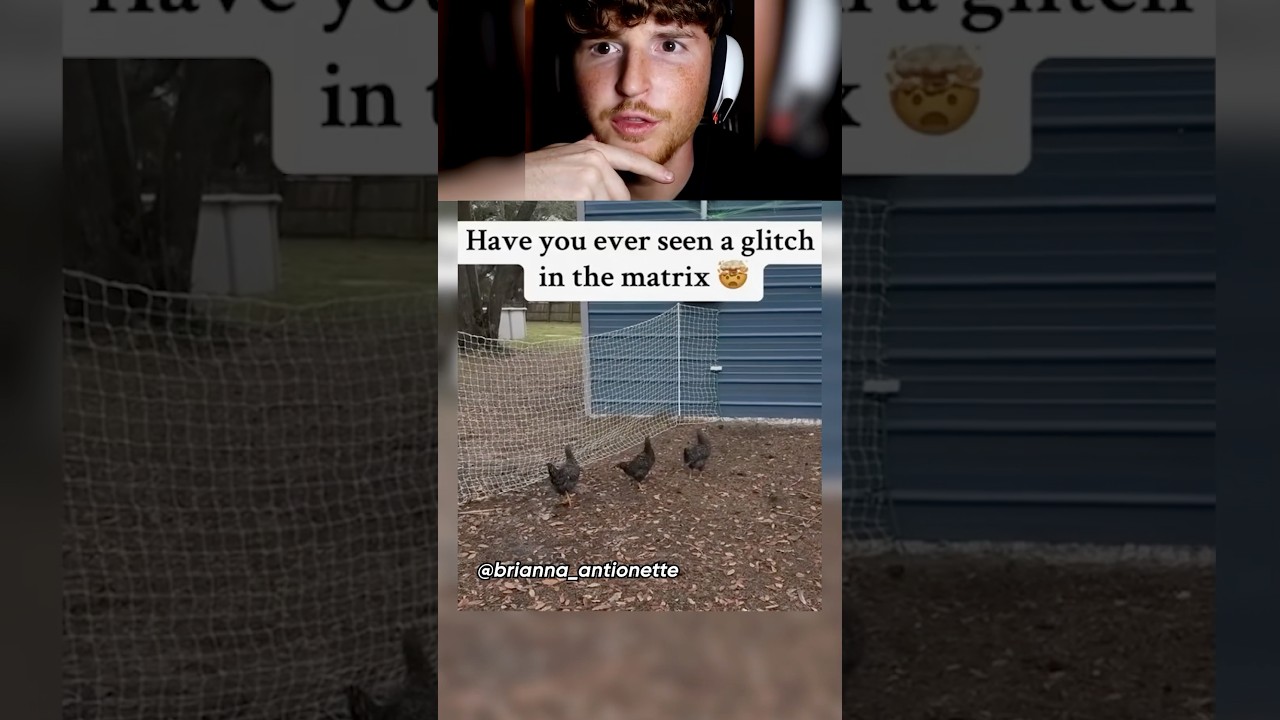 Are we in a simulation?