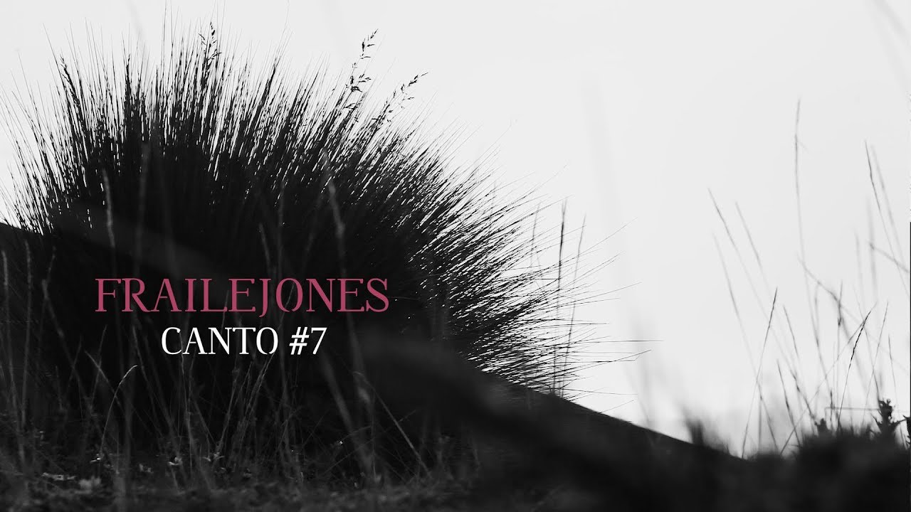 Frailejones - Canto #7 (Lyric Video)