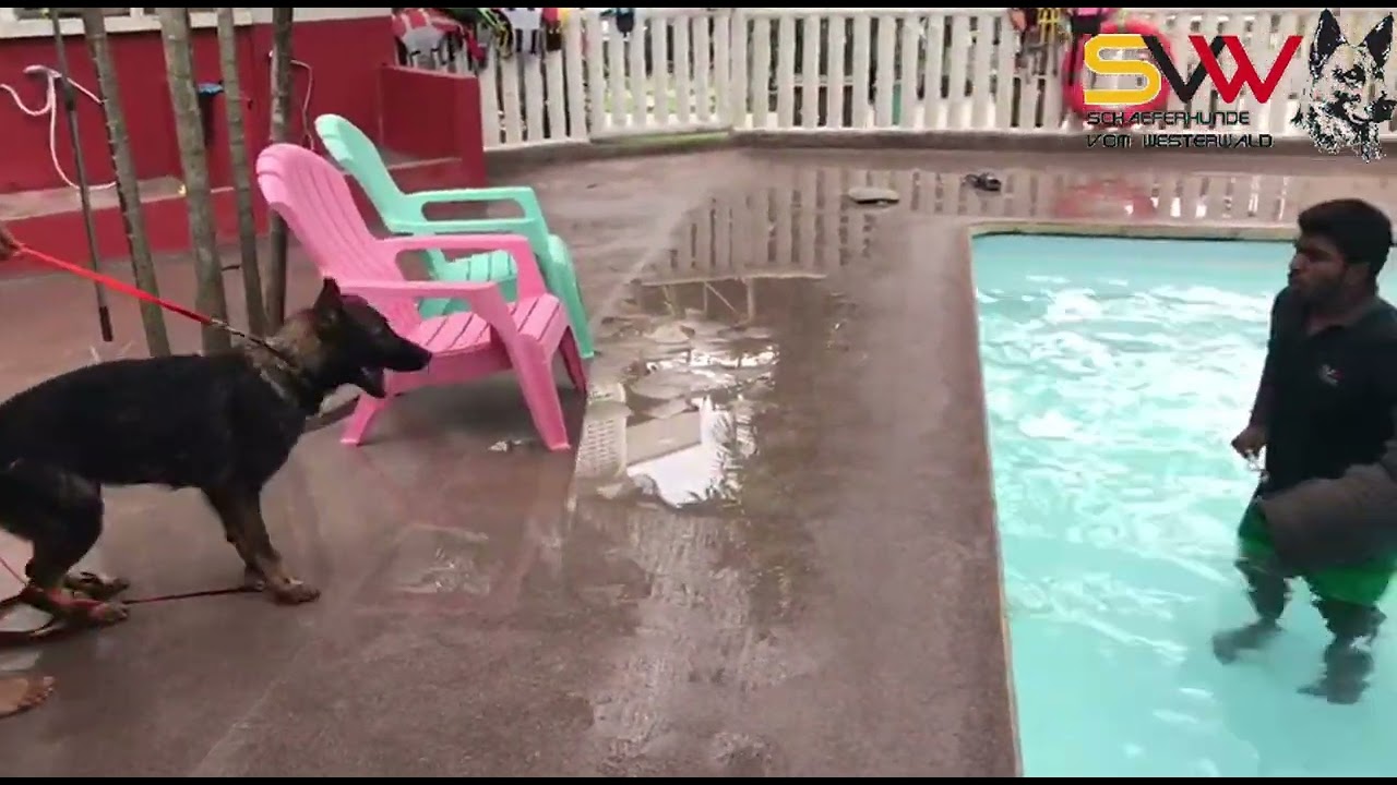 Peanut Hydrotraining