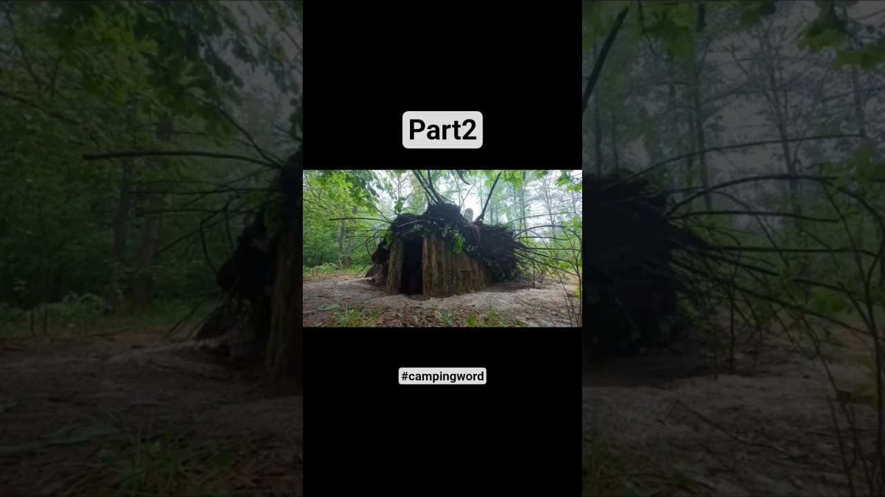 Alone in the Wild 🏕️ Building a Shelter | #camping #bushcraft #survivalshelter ##survival