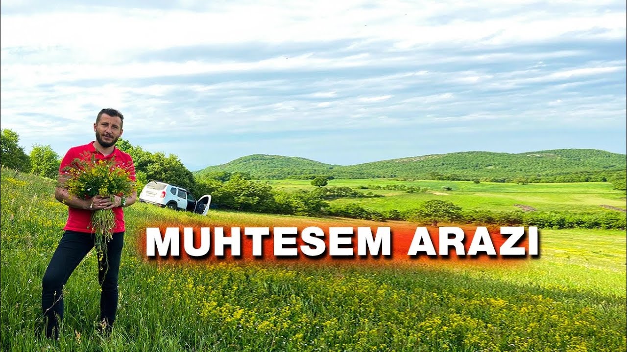 Muhteşem Arazi 60Dönüm Tek Tapu Kelepir Fiyata [6.500₺ Dönüm Fiyat][Satıldı]