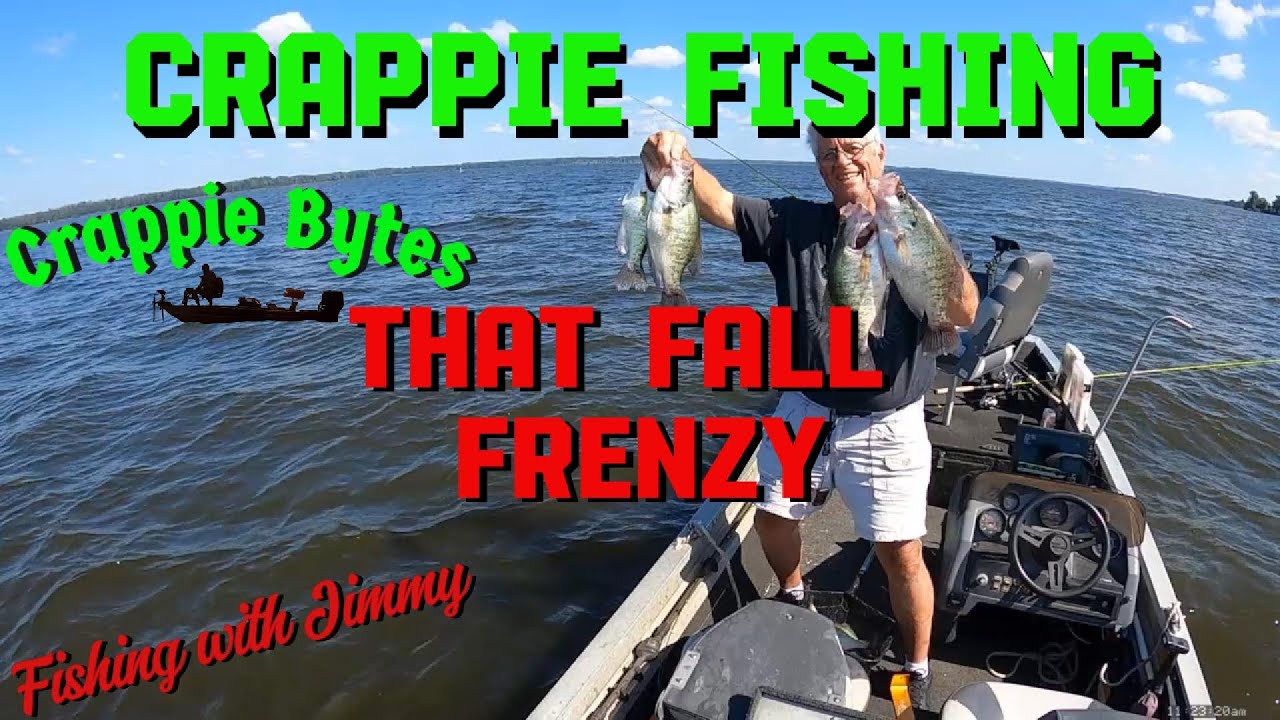 Crappie Fishing! That fall frenzy. With livescope footage  #crappiefishing2024 #livescope #crappie