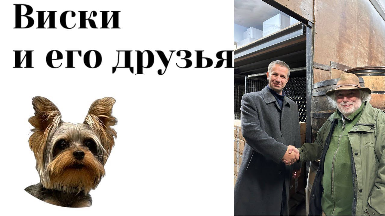 Беседы с Джимом Мюрреем