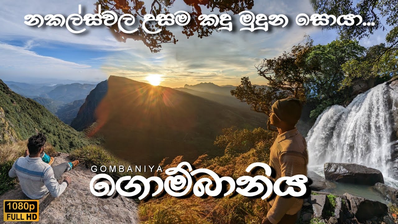 නකල්ස් රක්ෂිතයේ උසම කදු මුදුන සොයා 🍃 ගොම්බානිය  | Gombaniya | Sri Lanka 🇱🇰