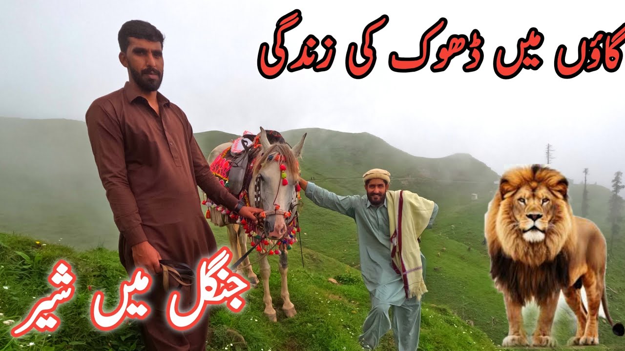 Life in Village of kashmir || Topical village life #kashmirvalley 