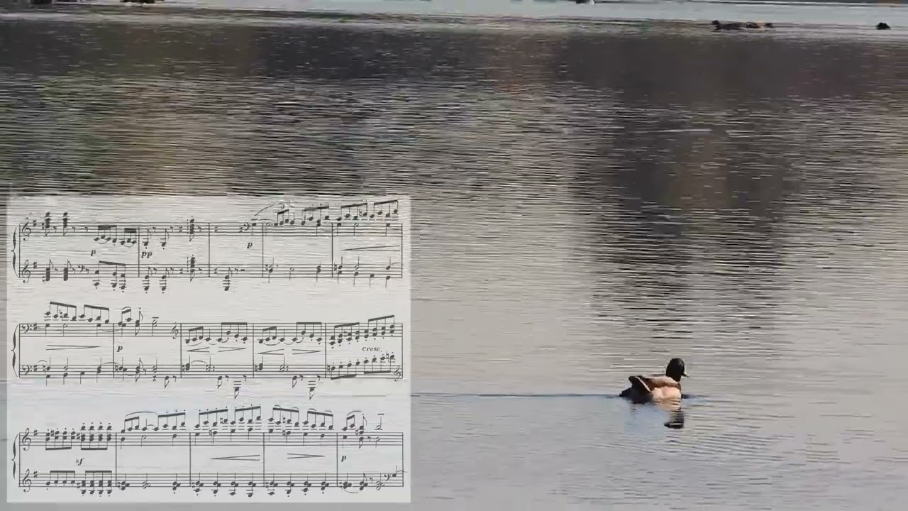 Debussy  Arabesque No.2  드뷔시 아라베스크 제2번