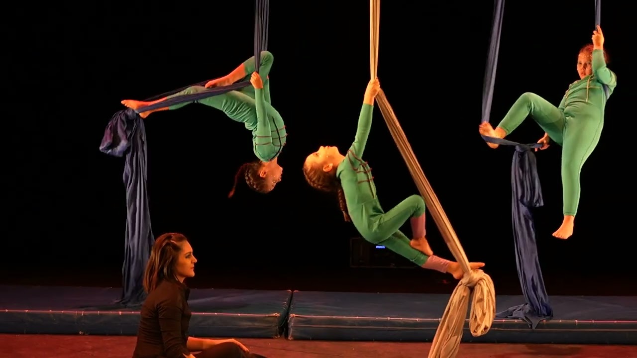 ✨ Excelente presentación de Acrokids Representando a los caballitos de mar dentro del aniversario 16