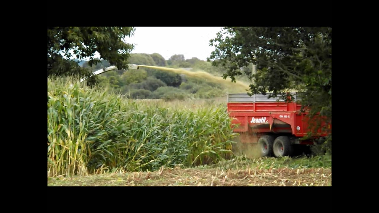 Ensilage Mais 2014 en Cotes d'Armor