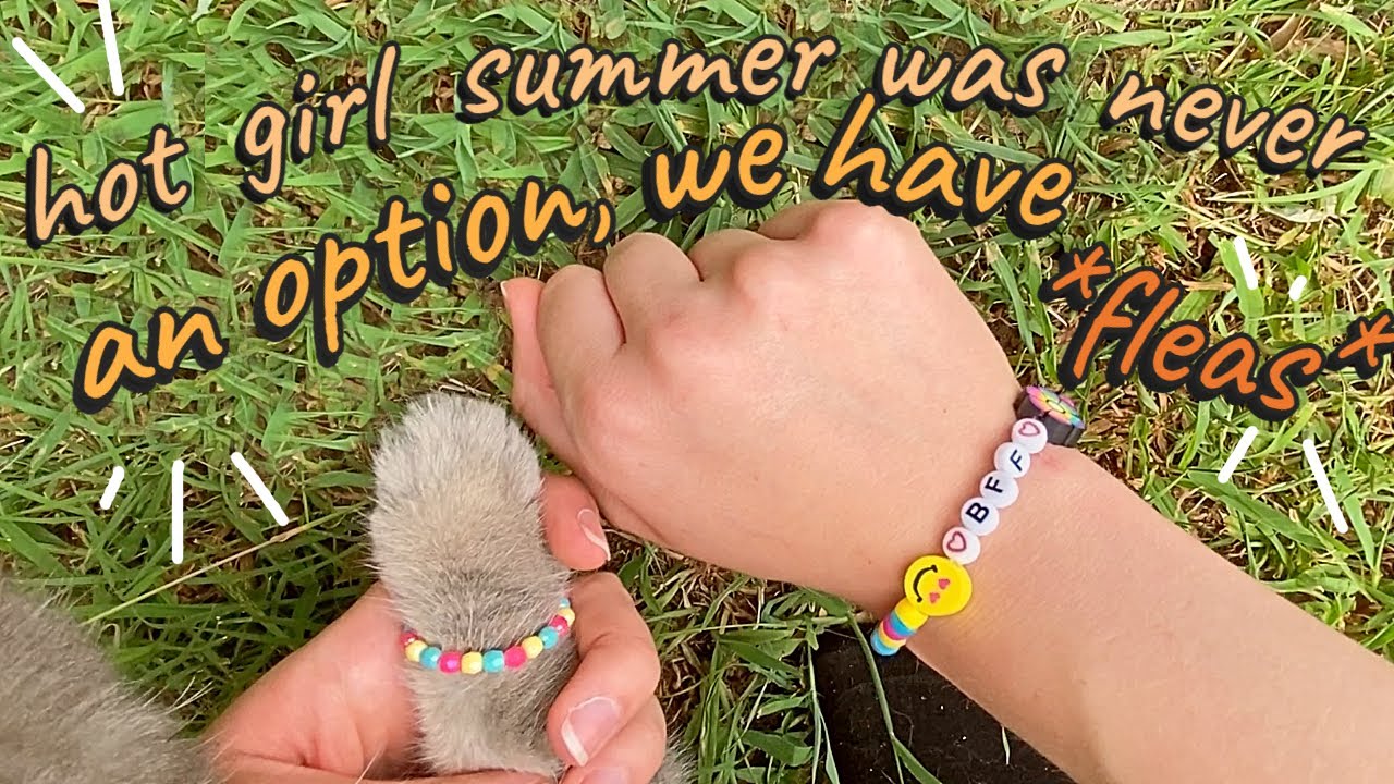 I Made Friendship Bracelets for Me and My Cat