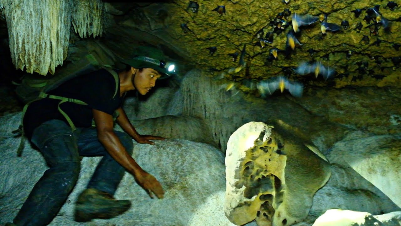 CAMPING MENCARI KOTORAN KELELAWAR DI GUA PURBA