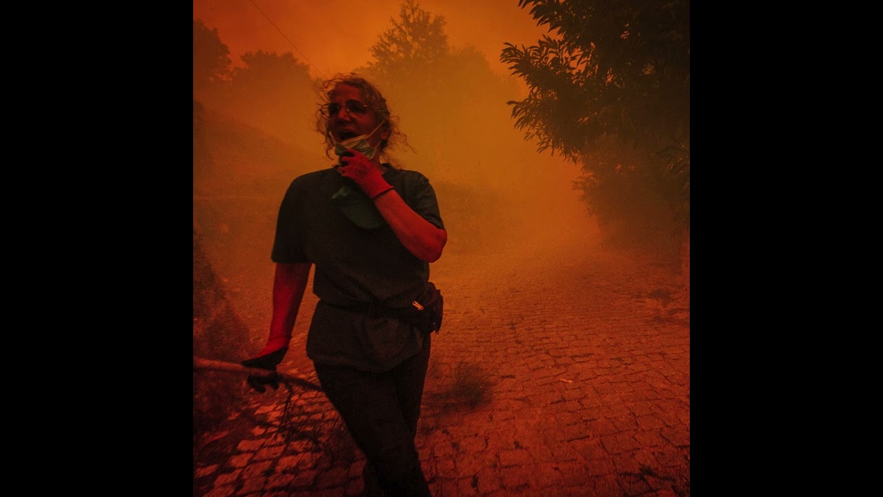 The Divergence of Global Wildfire Destruction and Scale