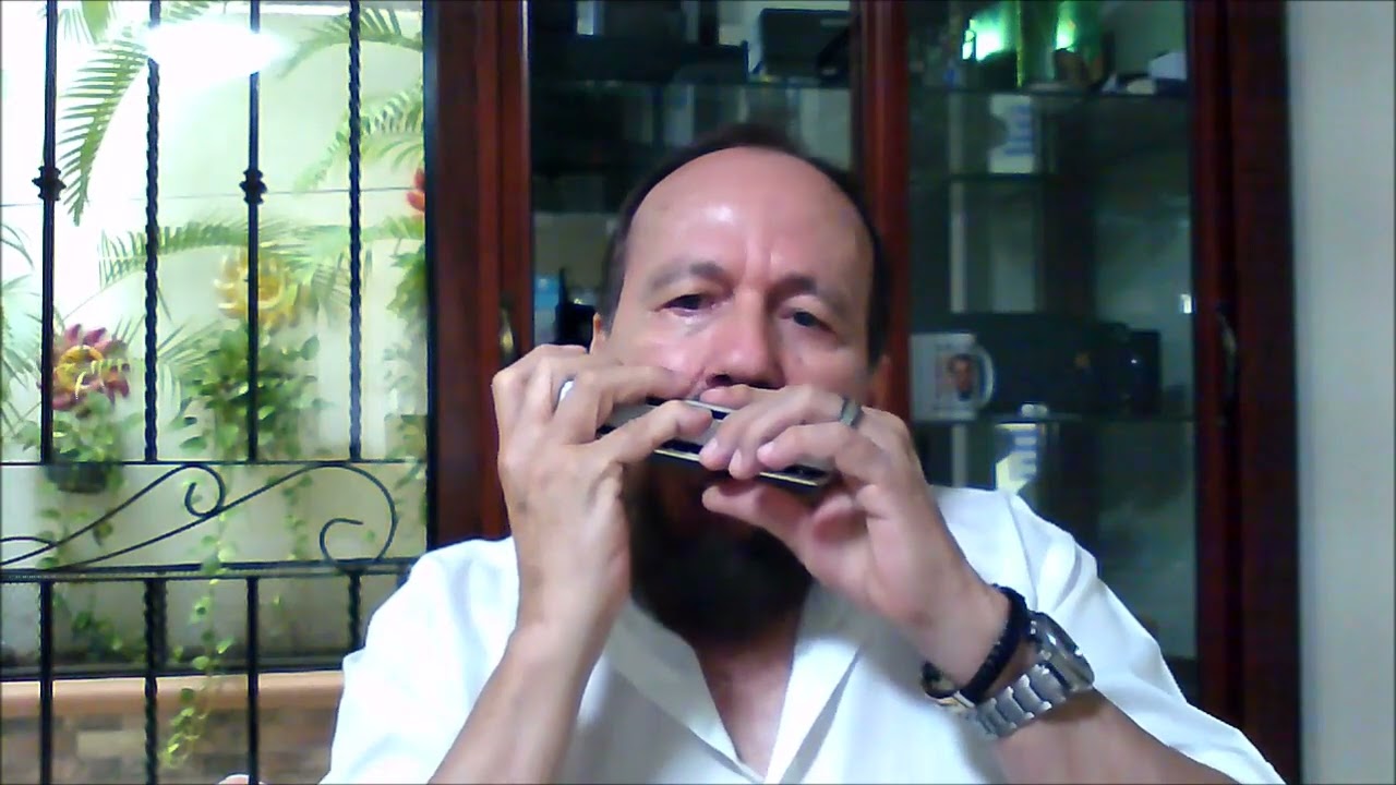 Fang das licht  (Atrapa la luz) | Michael Kunze | Harmonica by Harmonicalf (Versión II)
