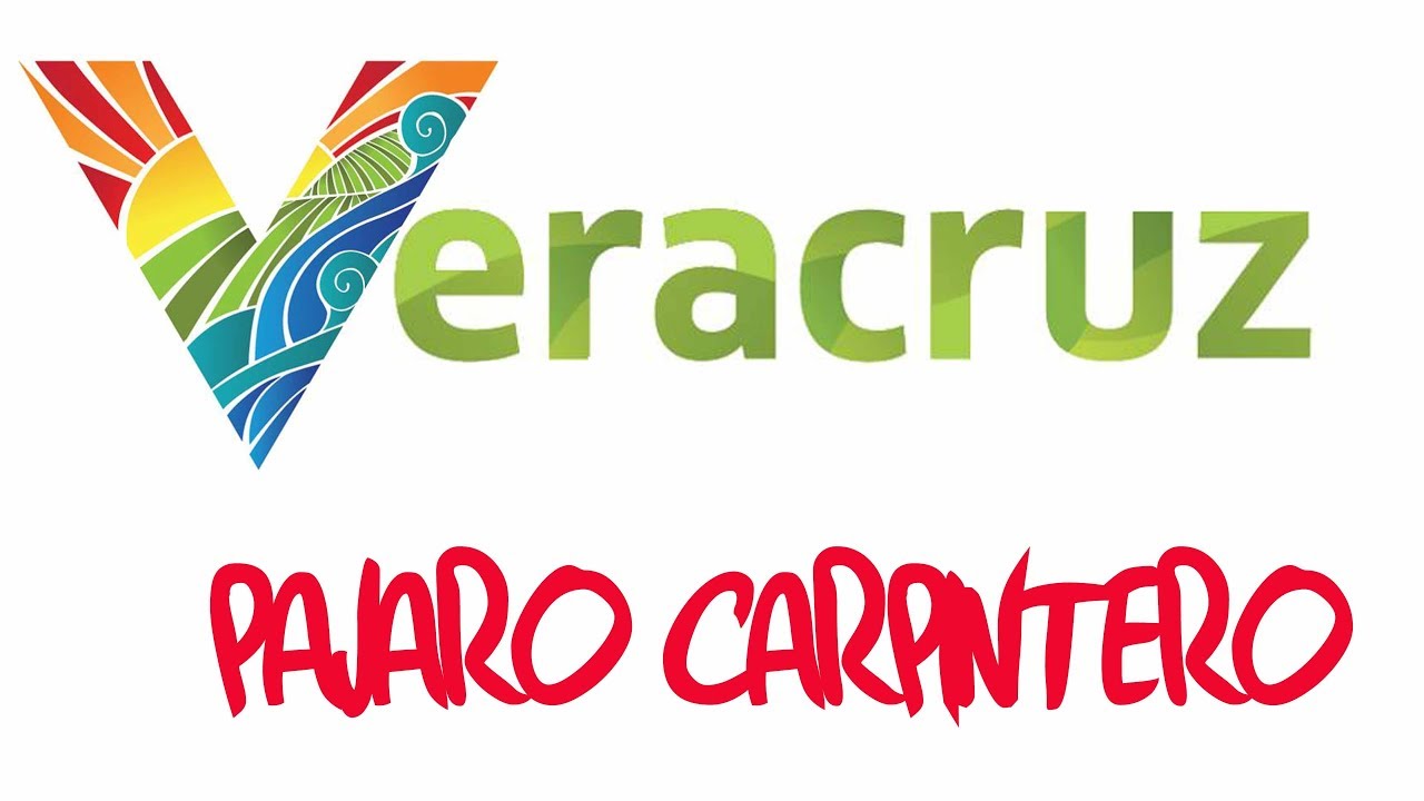 Veracruz - Pajaro Carpintero
