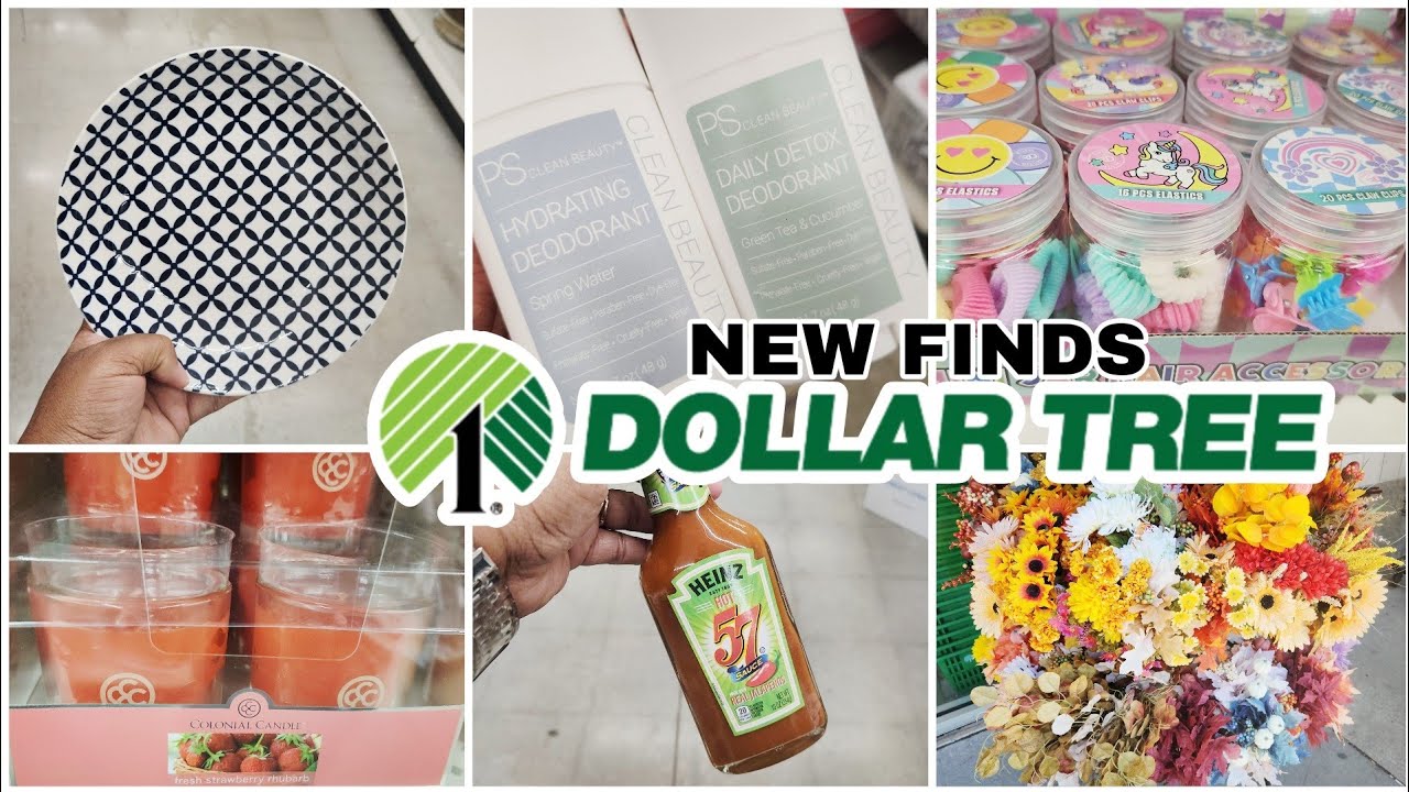 AMAZING NEW FINDS AT DOLLAR TREE
