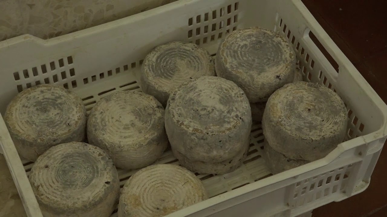 Made in Aracena. Quesería Monte Robledo