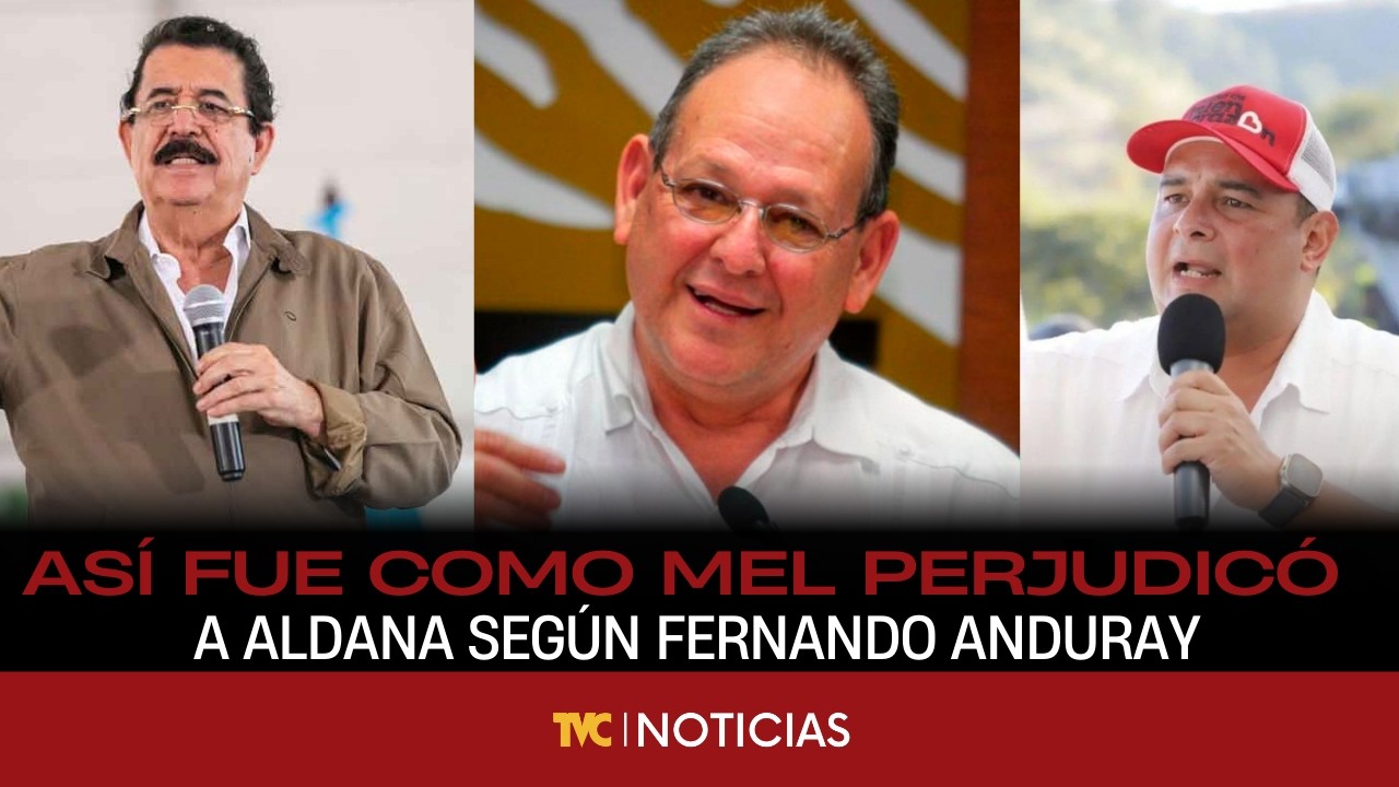 Así fue como Mel perjudicó a Aldana según Fernando Anduray