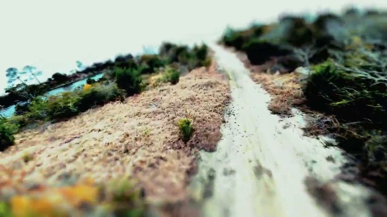 DJI Avata 2 Lake Cruise