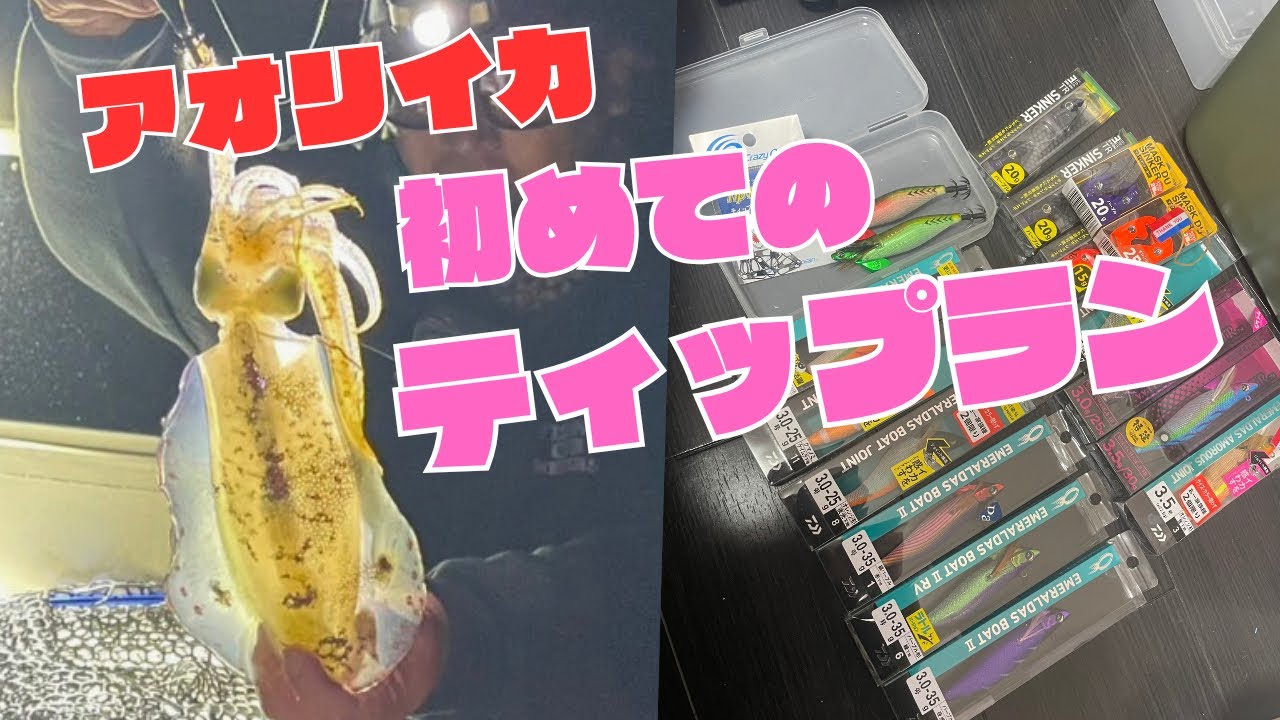 【ティップラン】初めてのティップランに挑戦！