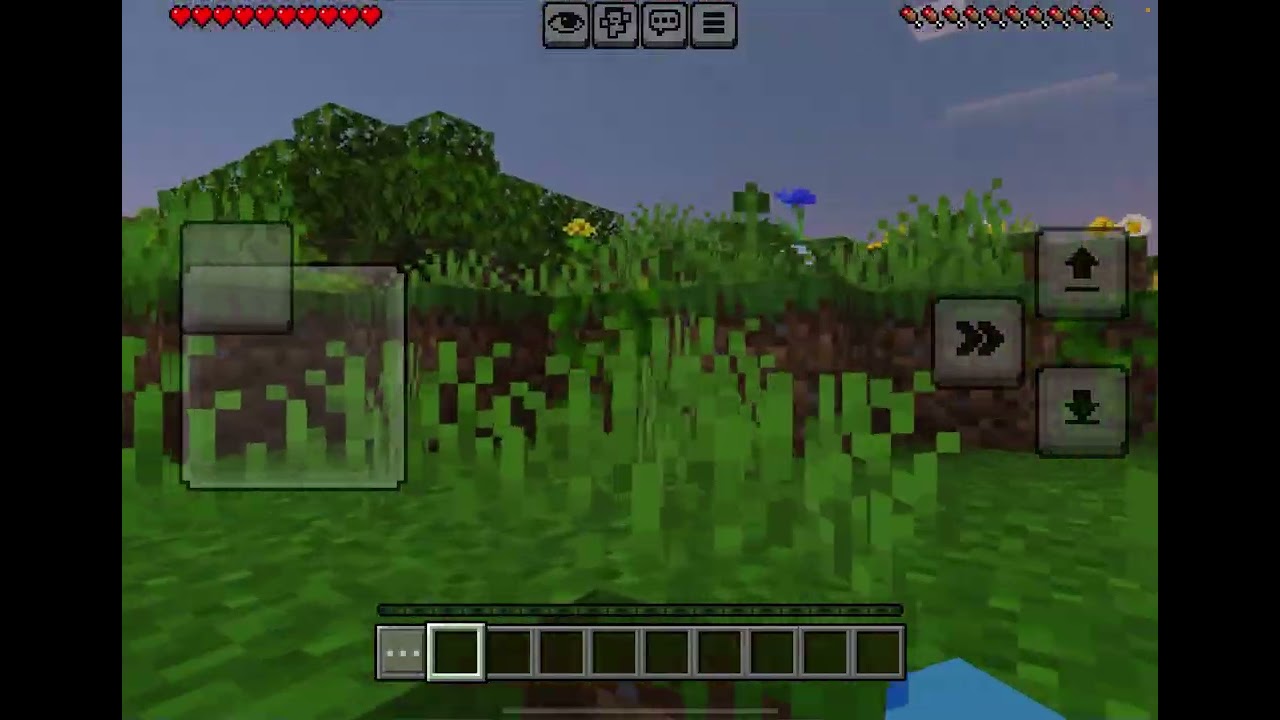 Playing Minecraft