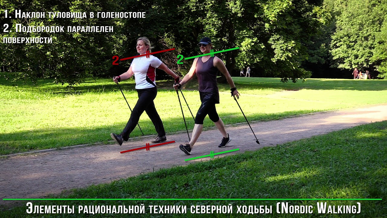 Nordic Walking. Техника ходьбы с палками.