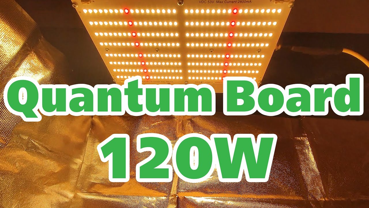 Обзор Quantum board Samsung LM301B + Osram 660nm 120 Ватт