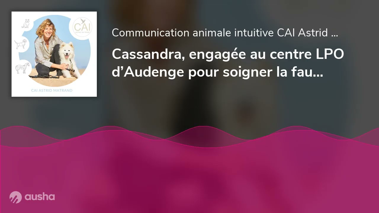 Cassandra, engagée au centre LPO d’Audenge pour soigner la faune en détresse