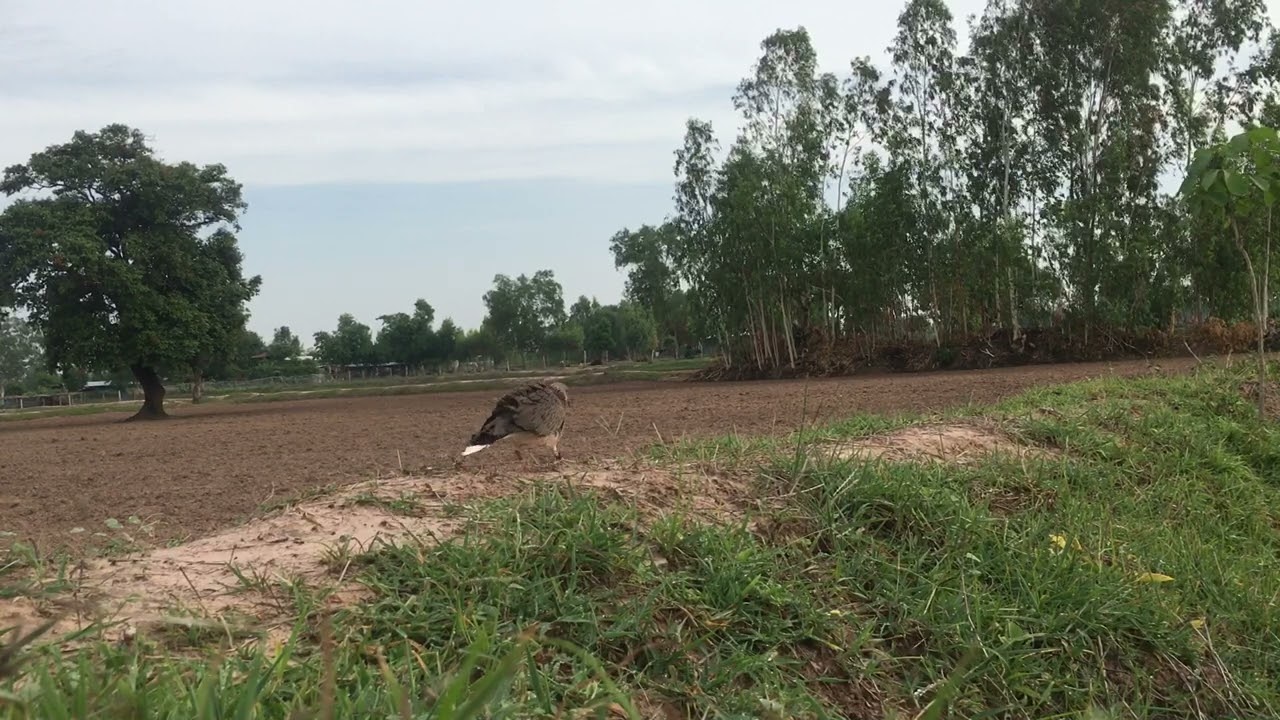 22 มิถุนายน 2567