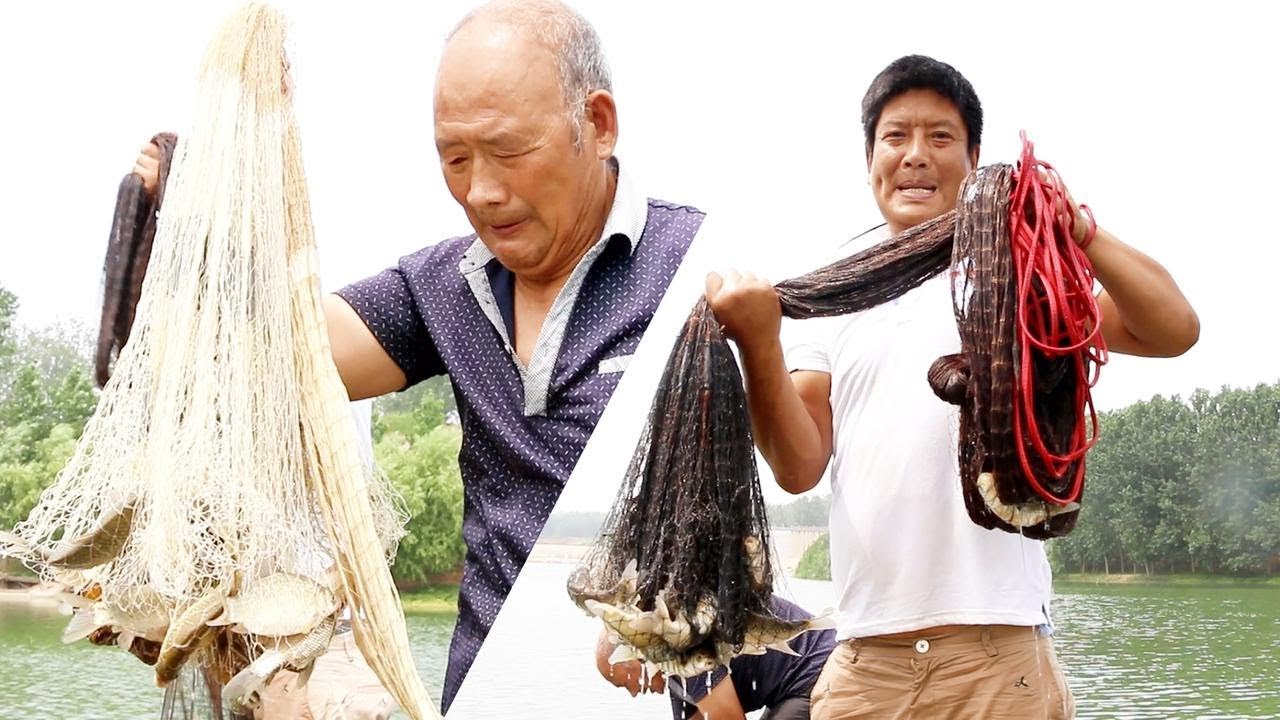 These decades of casting skills have not been in vain, and the final harvest has exploded.